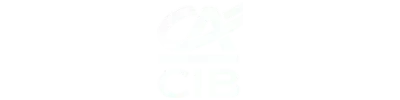 CA CIB